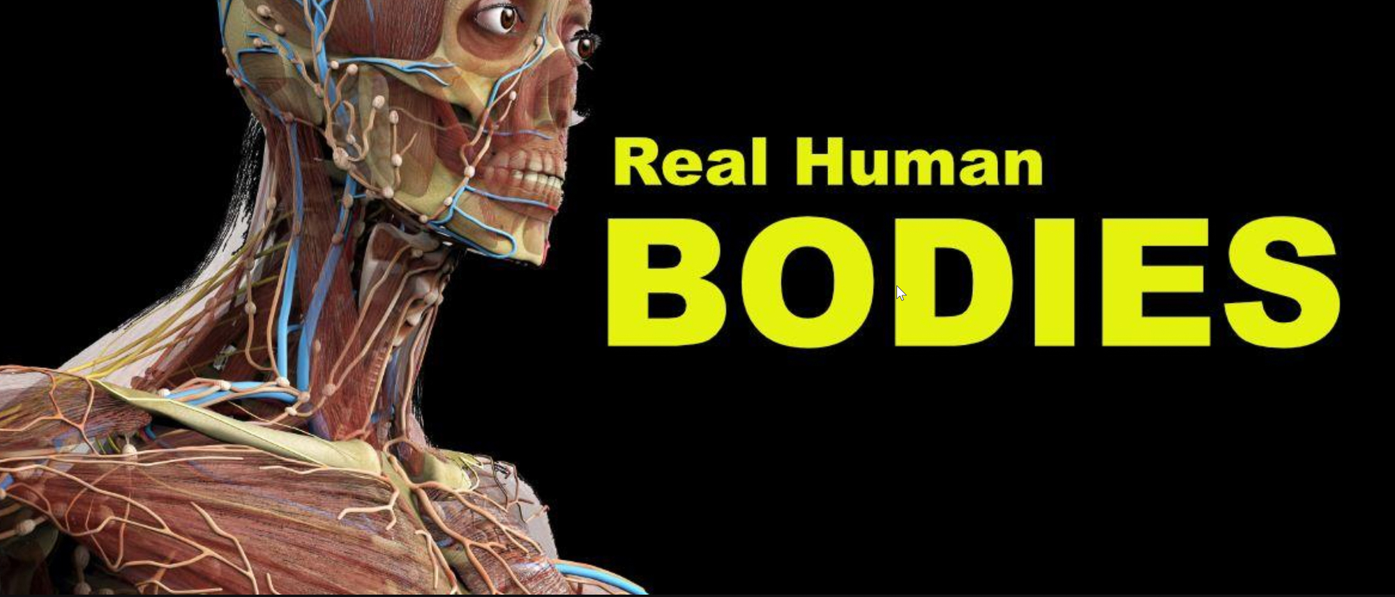 Real Human Bodies